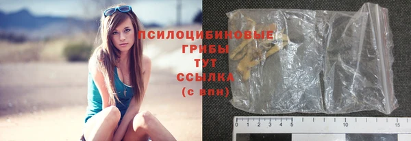 стаф Михайловск