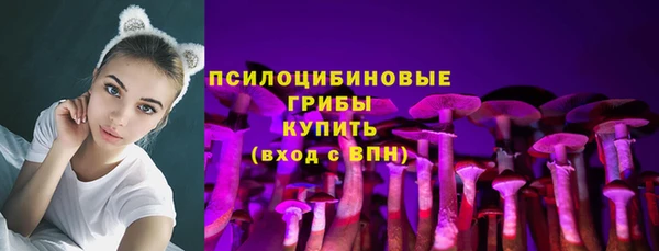 соль ск Михайлов