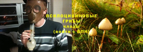 стаф Михайловск