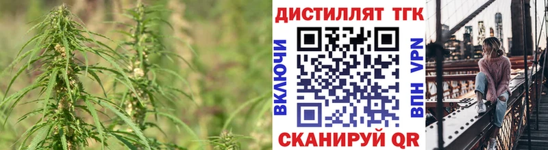 купить сайты Новый Оскол ТГК THC oil